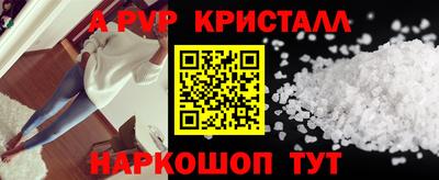 индика Дубна