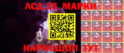 индика Дубна