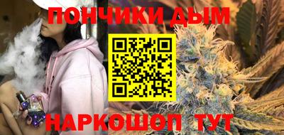 индика Дубна