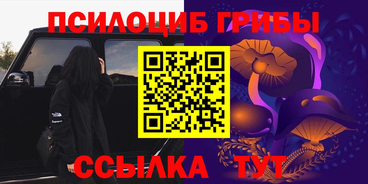 Псилоцибиновые грибы мицелий  Великий Новгород  Галлюциногенные грибы Psilocybine cubensis 