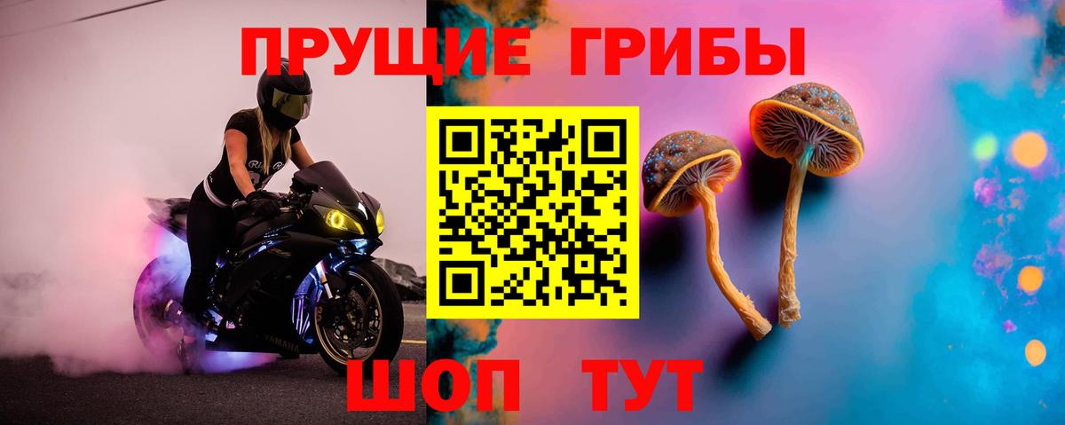 Галлюциногенные грибы Cubensis Великий Новгород